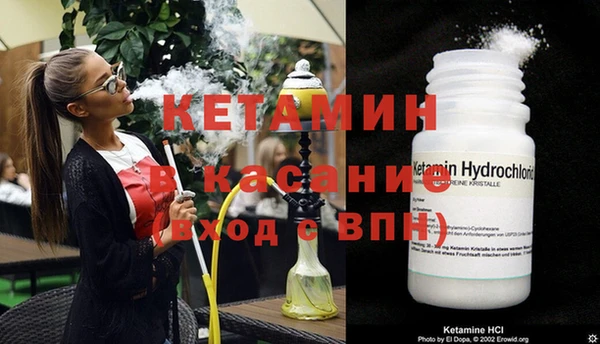 прущие грибы Вяземский