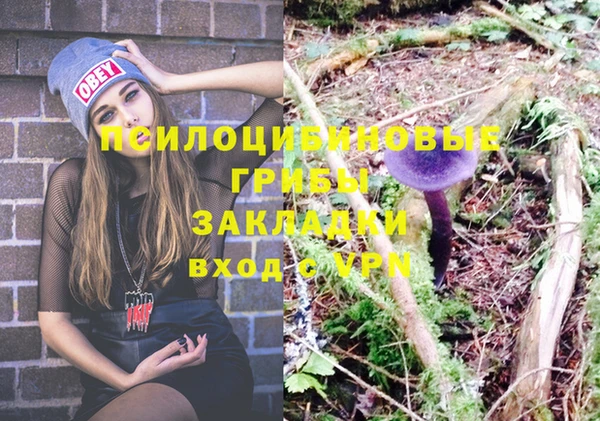 таблы Вязьма