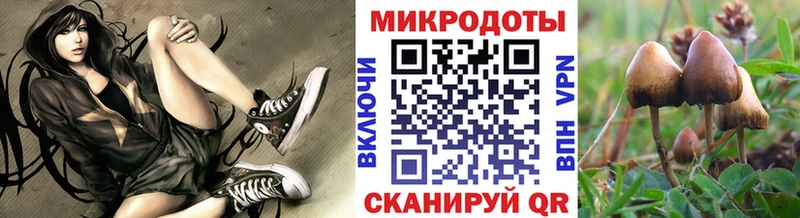 Галлюциногенные грибы мицелий  наркотики  Дубовка 